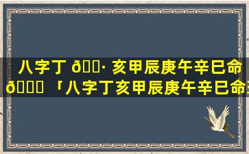 八字丁 🕷 亥甲辰庚午辛巳命 🐘 「八字丁亥甲辰庚午辛巳命理」